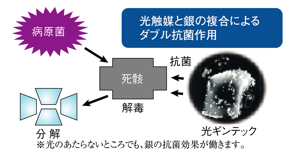 光触媒と銀の複合によるダブル抗菌作用