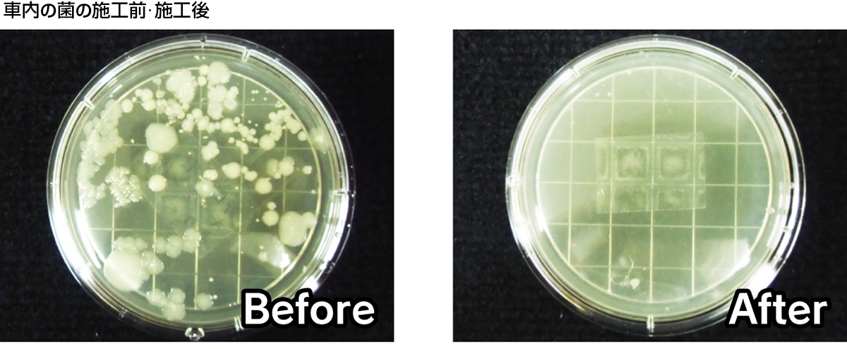 車内の菌を培養 施工前・施工後